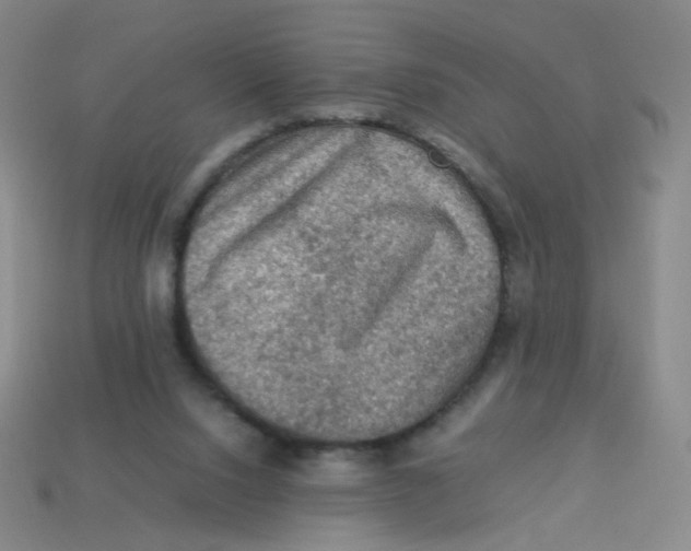 X0000113310064200910131116