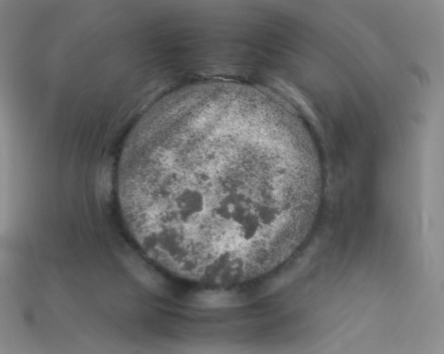 X0000113310065200910131116