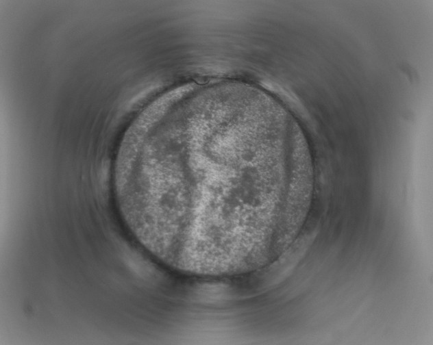 X0000113310066200910131116