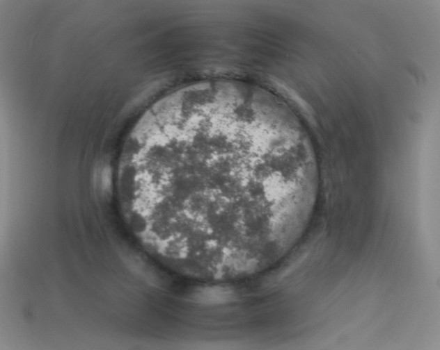 X0000113310067200910131116
