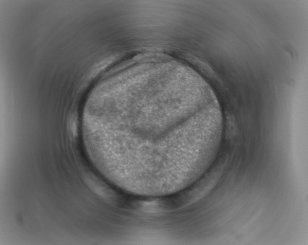 X0000113310068200910131116