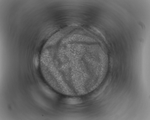 X0000113310069200910131116