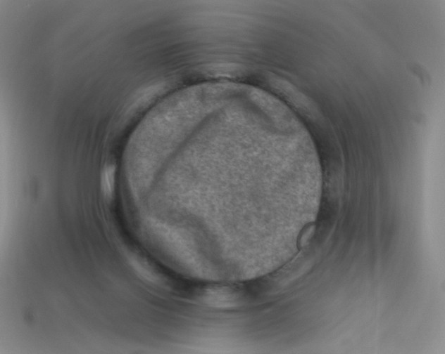X0000113310070200910131116