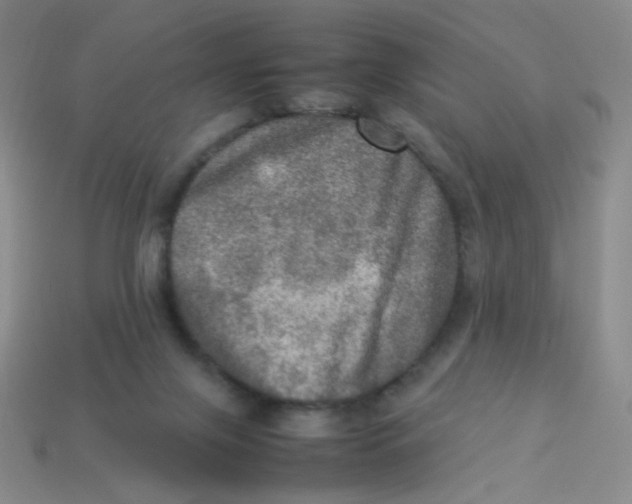 X0000113310071200910131116