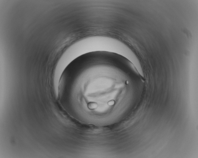 X0000113310072200910131116