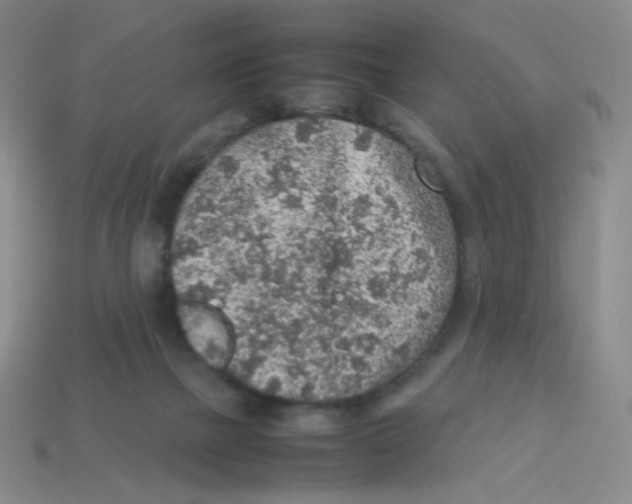 X0000113310073200910131116