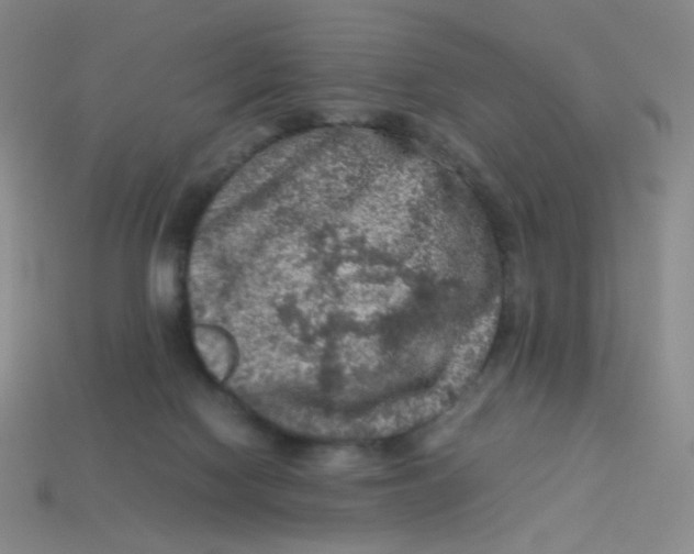 X0000113310074200910131116
