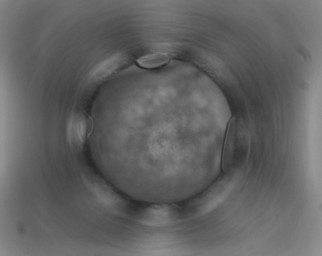 X0000113310076200910131116