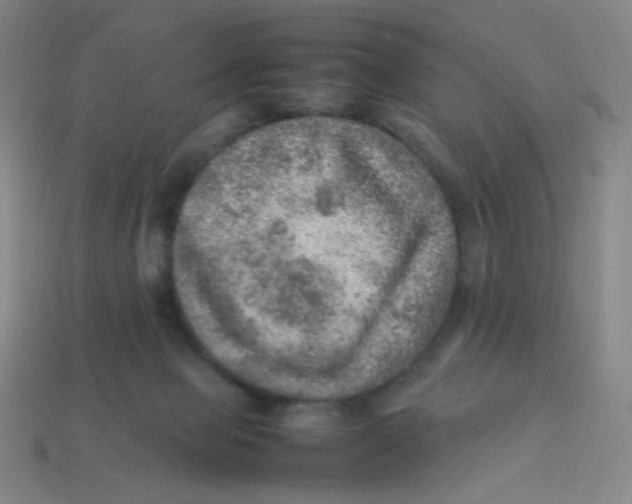 X0000113310077200910131116