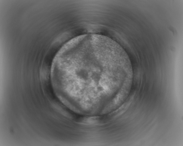 X0000113310078200910131116