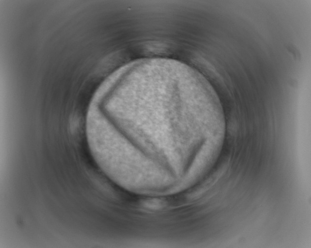 X0000113310079200910131116