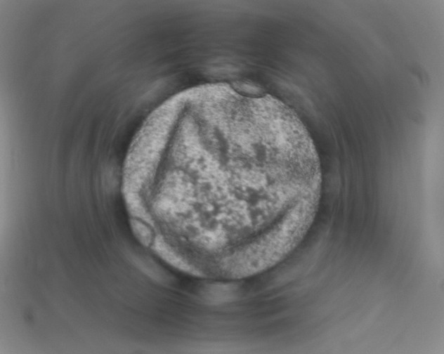 X0000113310081200910131116