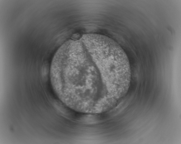 X0000113310082200910131116