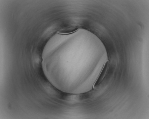 X0000113310084200910131116