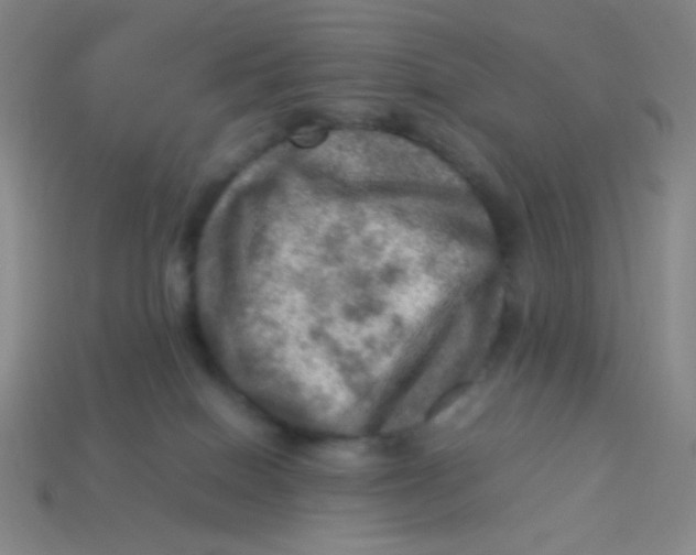 X0000113310086200910131116