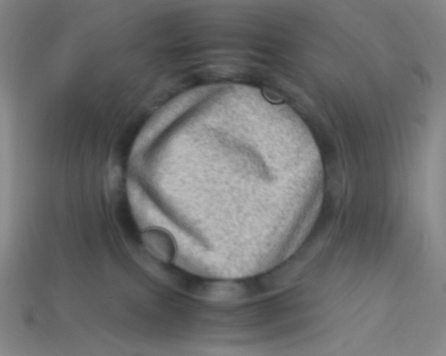 X0000113310087200910131116
