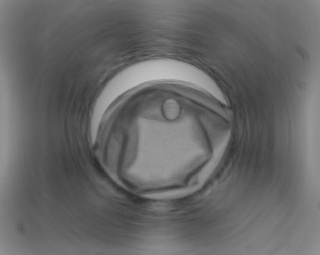 X0000113310088200910131116