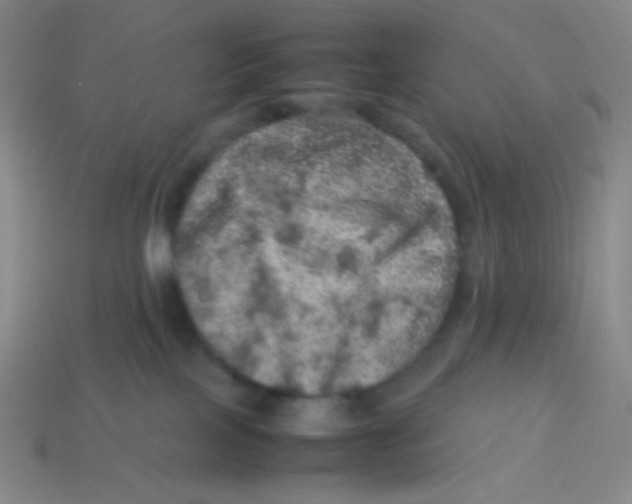 X0000113310089200910131116