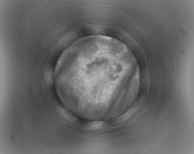 X0000113310090200910131116