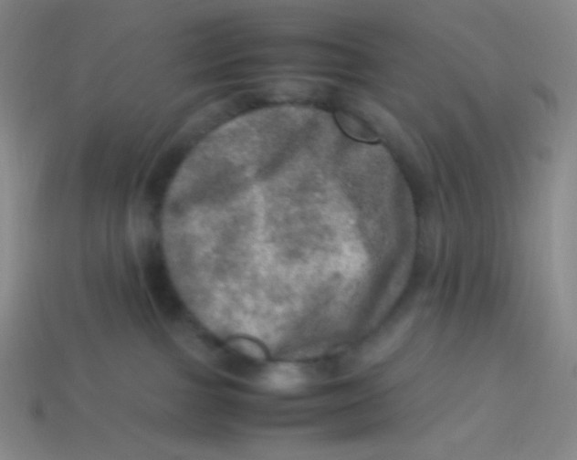 X0000113310091200910131116