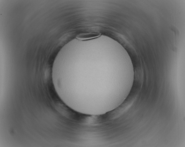 X0000113310092200910131116