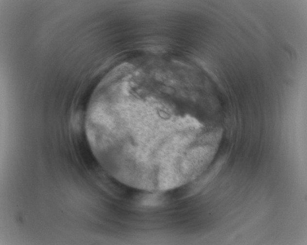 X0000113310093200910131116