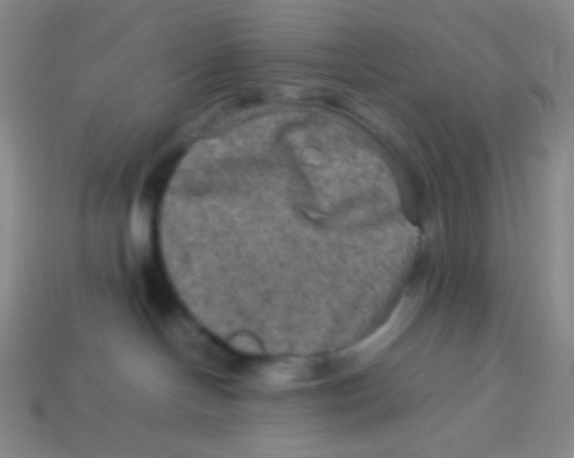 X0000113310094200910131116