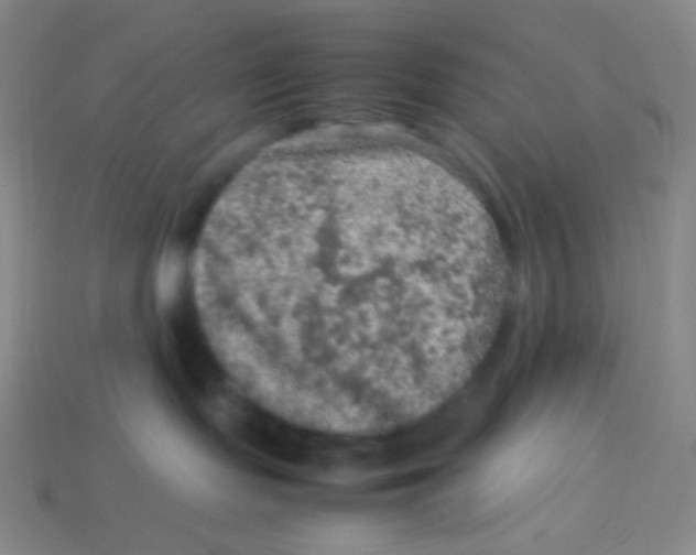 X0000113310095200910131116