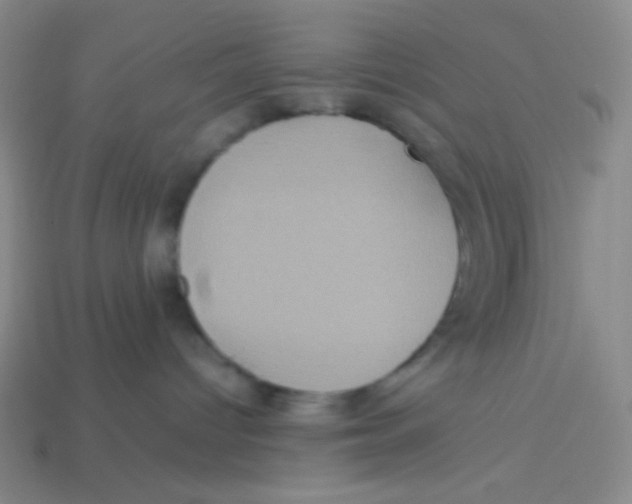 X0000113310096200910131116