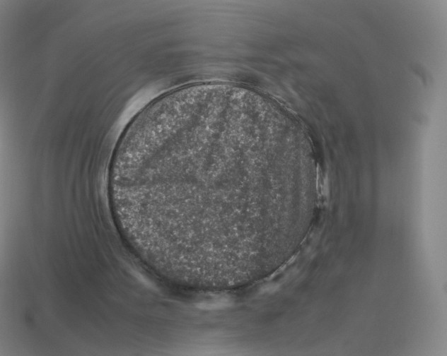 X0000113310099200910131116