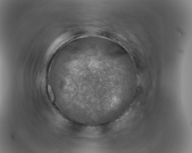 X0000113310101200910131116