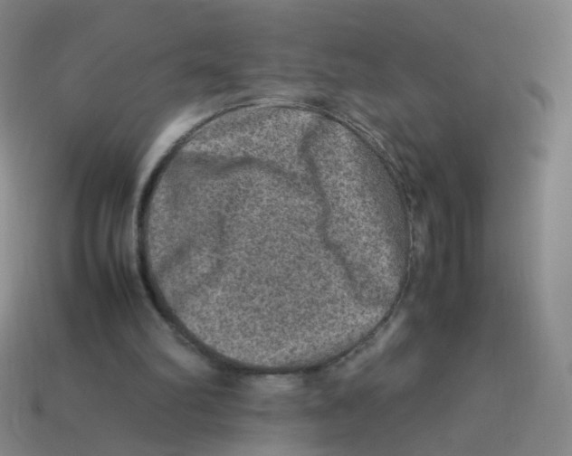 X0000113310102200910131116