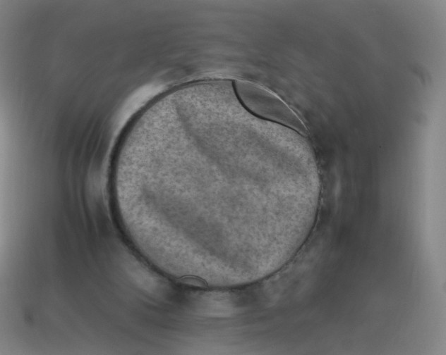 X0000113310104200910131116