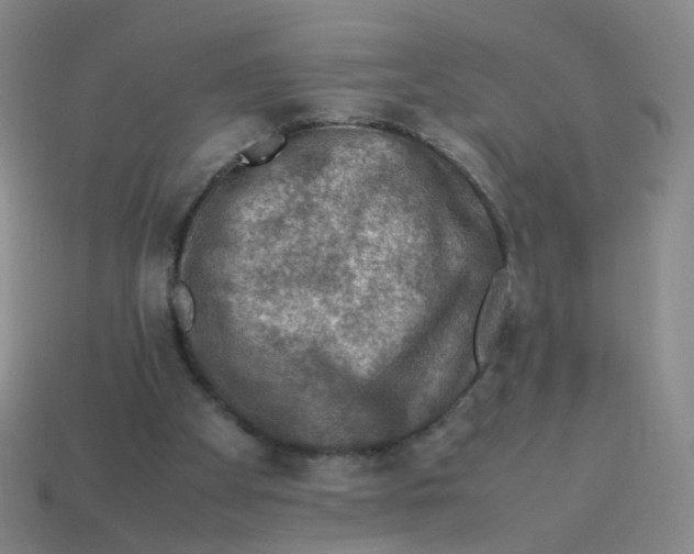 X0000113310105200910131116