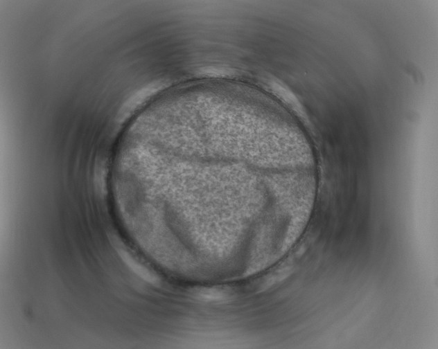 X0000113310106200910131116