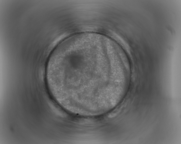 X0000113310107200910131116