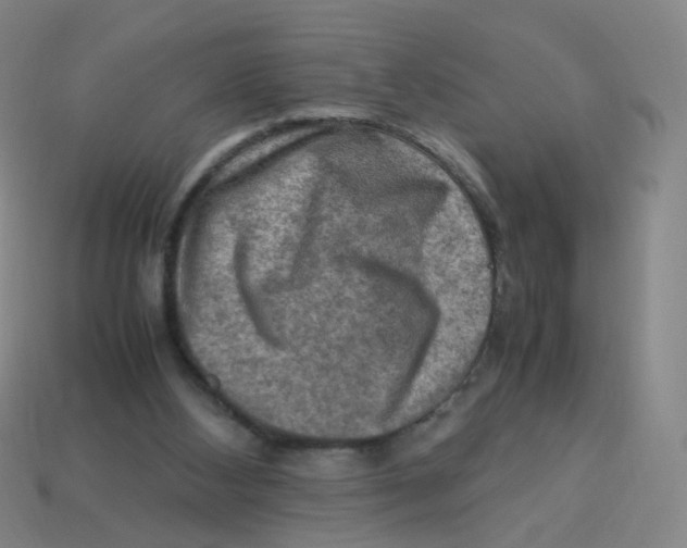 X0000113310108200910131116
