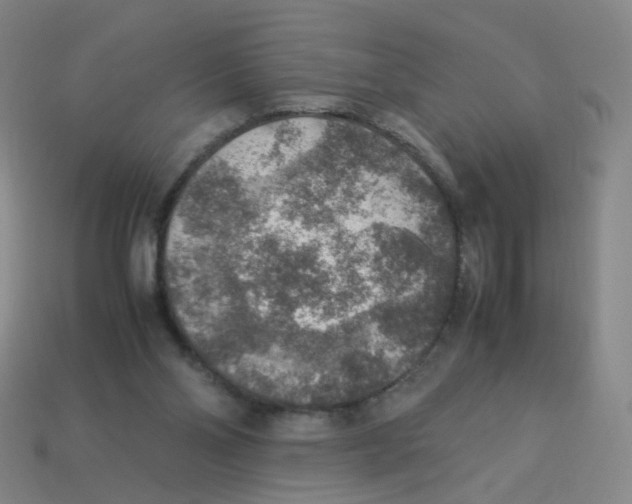 X0000113310110200910131116