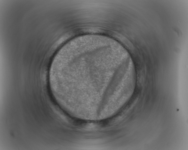 X0000113310111200910131116