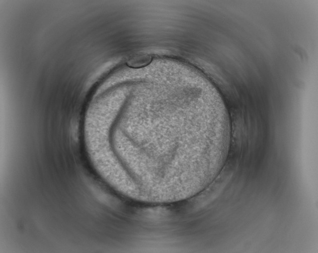 X0000113310112200910131116