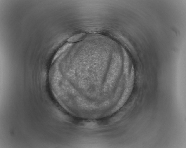 X0000113310113200910131116