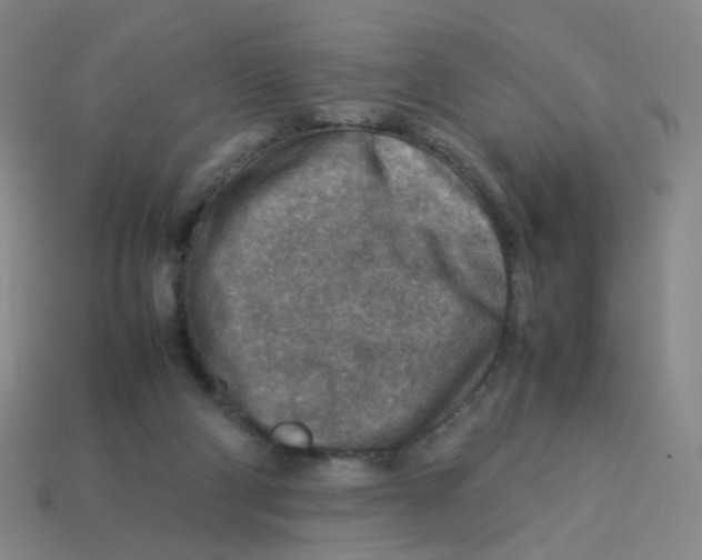 X0000113310114200910131116
