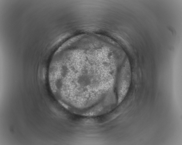 X0000113310115200910131116