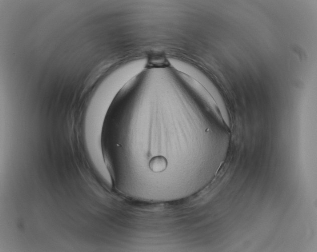 X0000113310116200910131116
