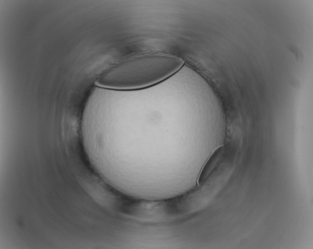 X0000113310117200910131116