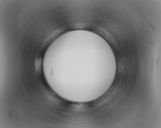 X0000113310118200910131116