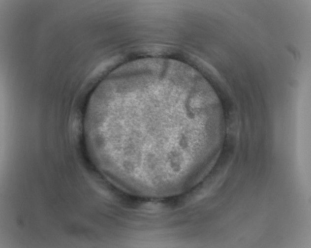 X0000113310119200910131116
