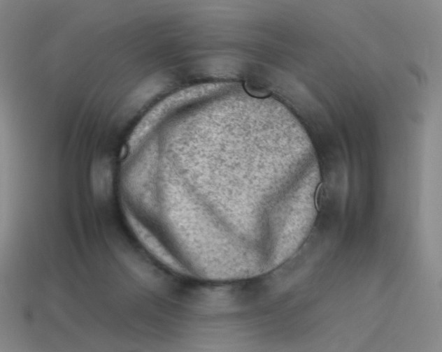 X0000113310120200910131116