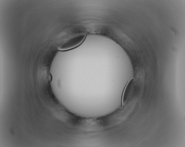 X0000113310121200910131116