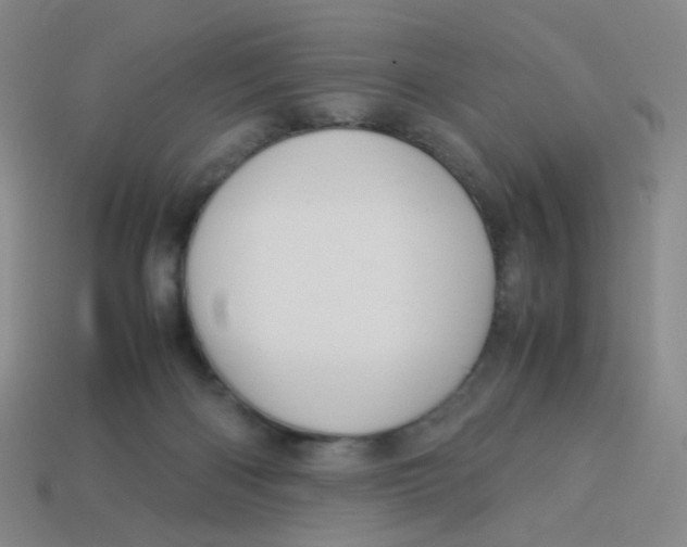X0000113310122200910131116